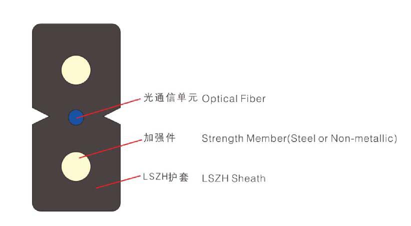 QQ截图201701100847201.jpg